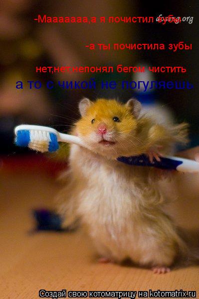 -Мааааааа,а я почистил зубы -а ты почистила зубы нет,нет,непонял бегом чистить а то с чикой не погул... Котоматрица: -Мааааааа,а я почистил зубы -а ты почистила зубы нет,нет,непонял бегом чистить а то с чикой не погуляешь