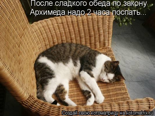 После сладкого обеда по закону Архимеда надо 2 часа поспать...... Котоматрица: После сладкого обеда по закону Архимеда надо 2 часа поспать...