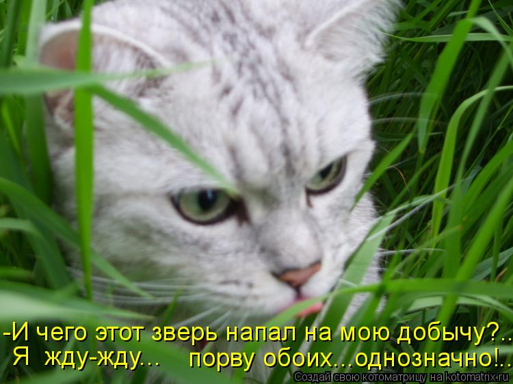 -И чего этот зверь напал на мою добычу?... порву обоих...однозначно!.. Я жду-жду...... Котоматрица: -И чего этот зверь напал на мою добычу?... порву обоих...однозначно!.. Я жду-жду...