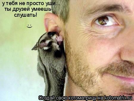 Котоматрица: у тебя не просто уши... ты друзей умеешь слушать! (: