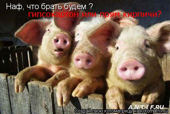 Котоматрица: Наф, что брать будем ? гипсокартон или прям кирпичи?