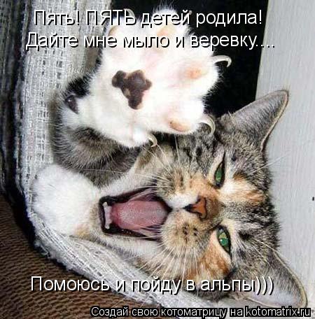 Котоматрица: Пять! ПЯТЬ детей родила! Дайте мне мыло и веревку.... Помоюсь и пойду в альпы)))