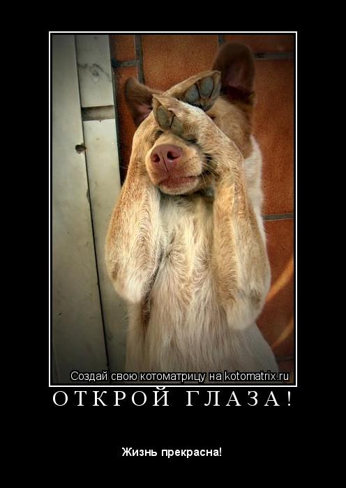 О Т К Р О Й Г Л А З А ! ... Котоматрица: О Т К Р О Й Г Л А З А !