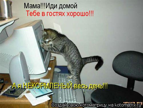 Котоматрица: Мама!!!Иди домой Тебе в гостях хорошо!!! А я НЕКОРМЛЕНЫЙ весь день!!!