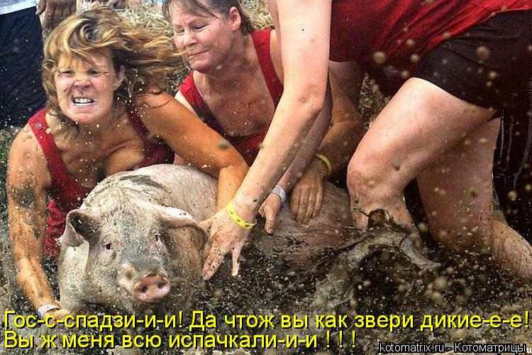 Котоматрица: Гос-с-спадзи-и-и! Да чтож вы как звери дикие-е-е! Вы ж меня всю испачкали-и-и ! ! !