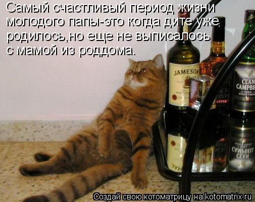 Самый счастливый период жизни молодого папы-это когда дите уже родилось,но еще не выписалось с мам... Котоматрица: Самый счастливый период жизни молодого папы-это когда дите уже родилось,но еще не выписалось с мамой из роддома.