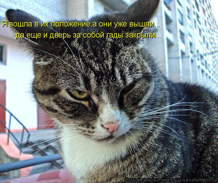 Котоматрица: Я вошла в их положение,а они уже вышли... да еще и дверь за собой гады закрыли...