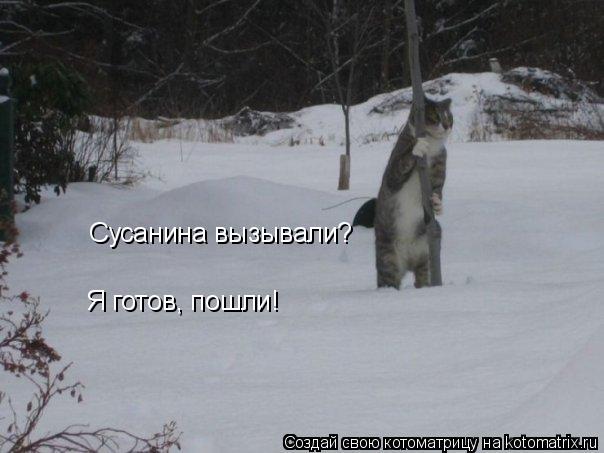 Сусанина вызывали? Я готов, пошли!... Котоматрица: Сусанина вызывали? Я готов, пошли!