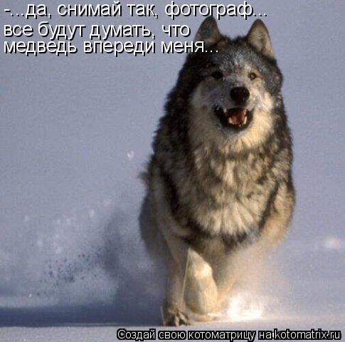 -...да, снимай так, фотограф... все будут думать, что медведь впереди меня...... Котоматрица: -...да, снимай так, фотограф... все будут думать, что медведь впереди меня...