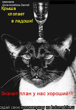 Котоматрица: Крыша хлопает в ладоши! Значит план у нас хороший!!!