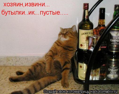 Котоматрица: хозяин,извини... бутылки..ик...пустые.....