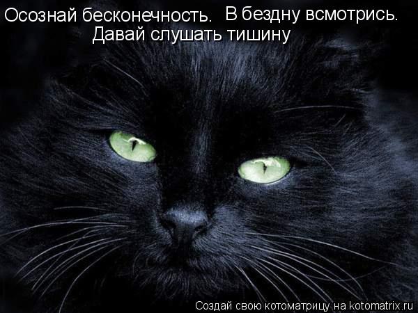 Котоматрица: Осознай бесконечность. В бездну всмотрись. Давай слушать тишину