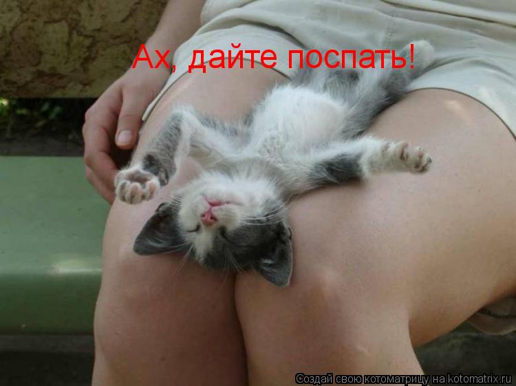 Котоматрица: Ах, дайте поспать!