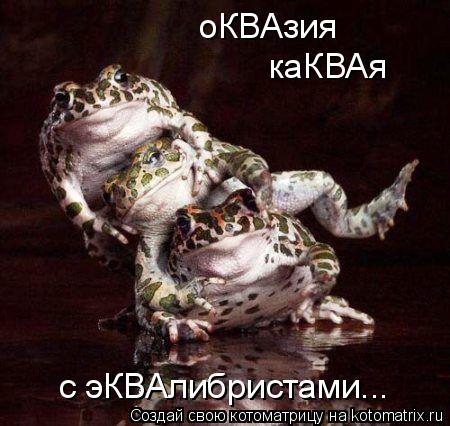 Котоматрица: оКВАзия каКВАя  с эКВАлибристами...