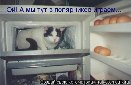 Котоматрица: Ой! А мы тут в полярников играем...