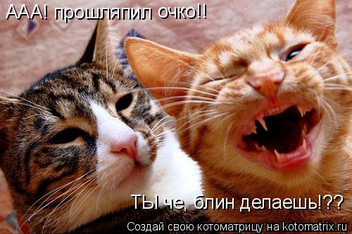 ААА! прошляпил очко!! ТЫ че, блин делаешь!??... Котоматрица: ААА! прошляпил очко!! ТЫ че, блин делаешь!??