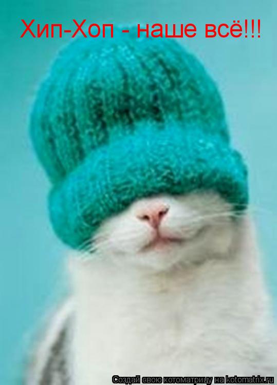Котоматрица: Хип-Хоп - наше всё!!!