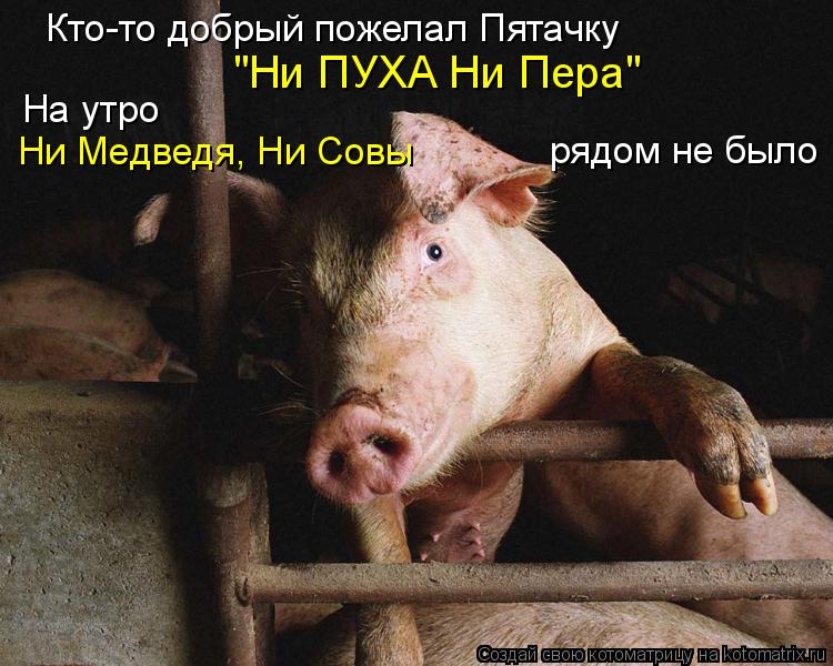 рядом не было Кто-то добрый пожелал Пятачку Ни Медведя, Ни Совы "Ни ПУХА Ни Пера" На утро... Котоматрица: рядом не было Кто-то добрый пожелал Пятачку Ни Медведя, Ни Совы "Ни ПУХА Ни Пера" На утро