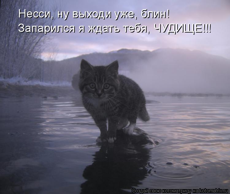 Несси, ну выходи уже, блин! Запарился я ждать тебя, ЧУДИЩЕ!!!... Котоматрица: Несси, ну выходи уже, блин! Запарился я ждать тебя, ЧУДИЩЕ!!!