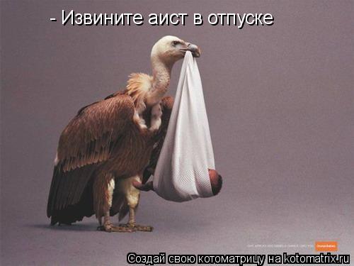 Котоматрица: - Извините аист в отпуске