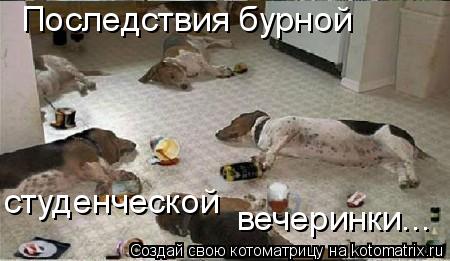 Котоматрица: Последствия бурной студенческой  вечеринки...