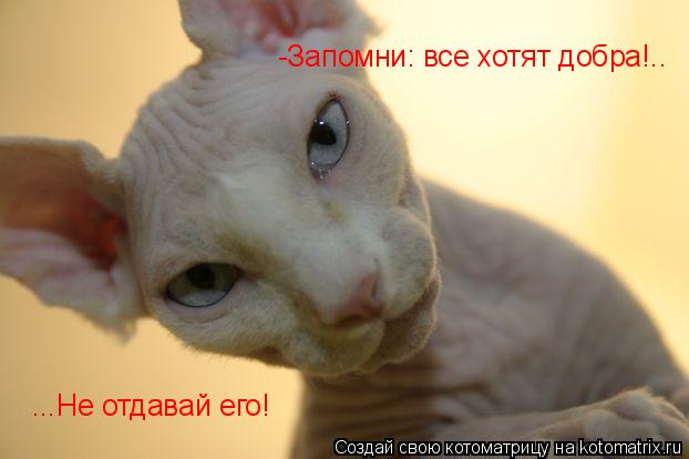 Котоматрица: -Запомни: все хотят добра!.. ...Не отдавай его!