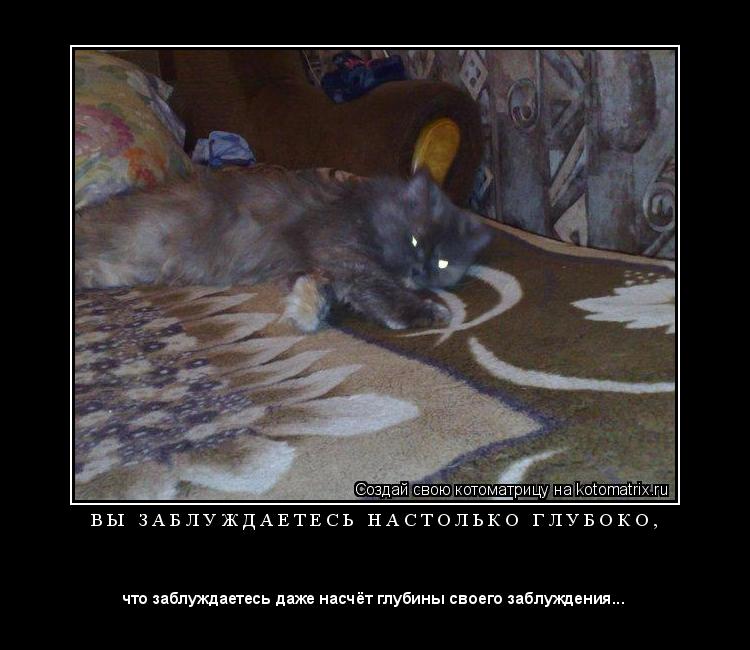 Котоматрица: В Ы   З А Б Л У Ж Д А Е Т Е С Ь   Н А С Т О Л Ь К О   Г Л У Б О К О , 