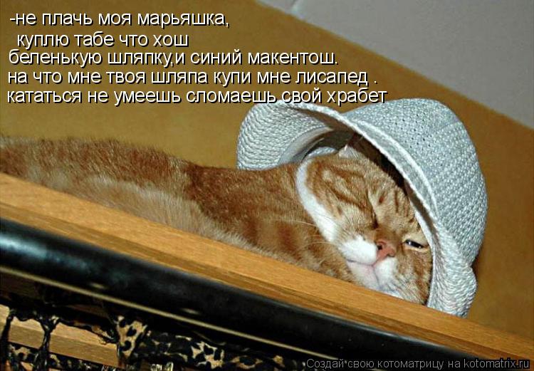 Котоматрица: -не плачь моя марьяшка, куплю табе что хош беленькую шляпку,и синий макентош. на что мне твоя шляпа купи мне лисапед . кататься не умеешь слом