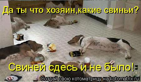 Котоматрица: Да ты что хозяин,какие свиньи? Свиней сдесь и не было!