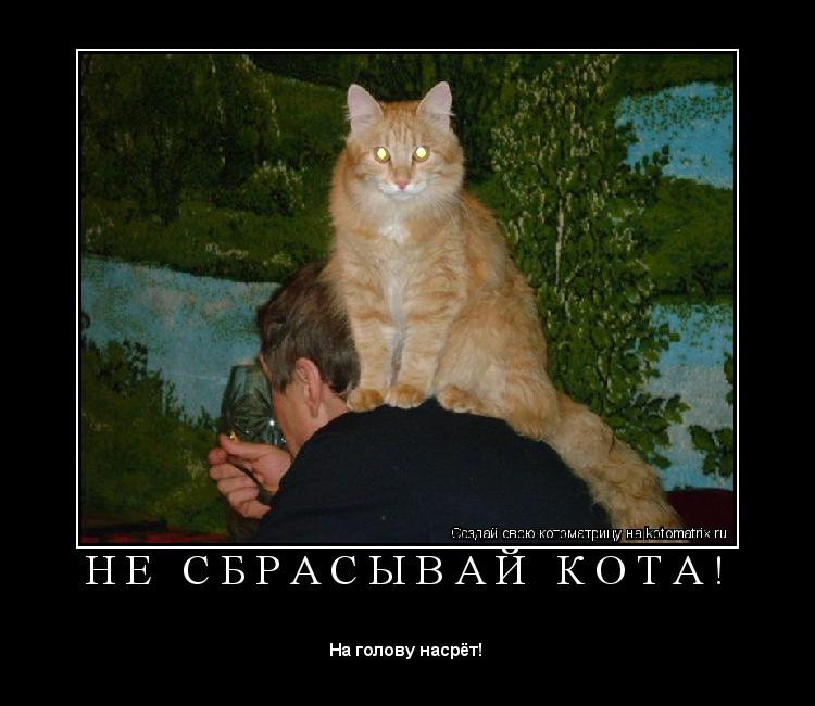 Котоматрица: Н Е   С Б Р А С Ы В А Й   К О Т А ! 