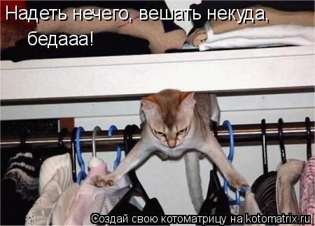 Надеть нечего, вешать некуда, бедааа!... Котоматрица: Надеть нечего, вешать некуда, бедааа!
