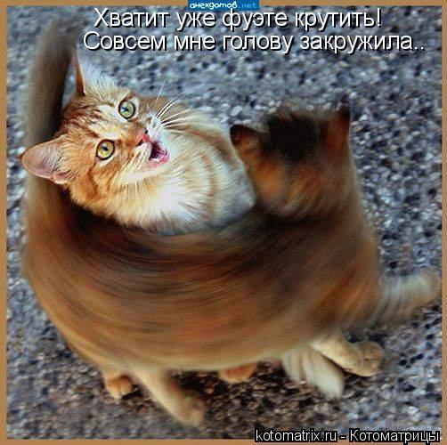 Котоматрица: Хватит уже фуэте крутить!  Совсем мне голову закружила..