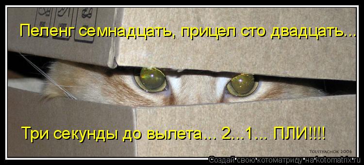 Котоматрица: Пеленг семнадцать, прицел сто двадцать... Три секунды до вылета... 2...1... ПЛИ!!!!