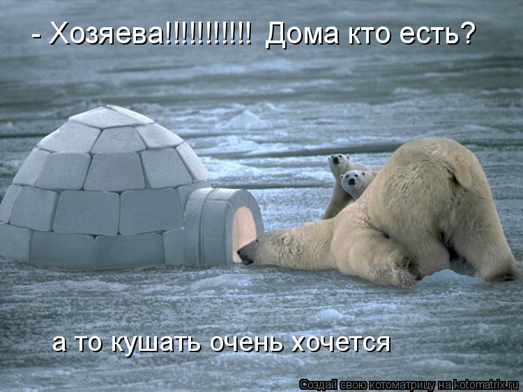 - Хозяева!!!!!!!!!!! Дома кто есть? Дома кто есть? а то кушать очень хочется... Котоматрица: - Хозяева!!!!!!!!!!! Дома кто есть? Дома кто есть? а то кушать очень хочется