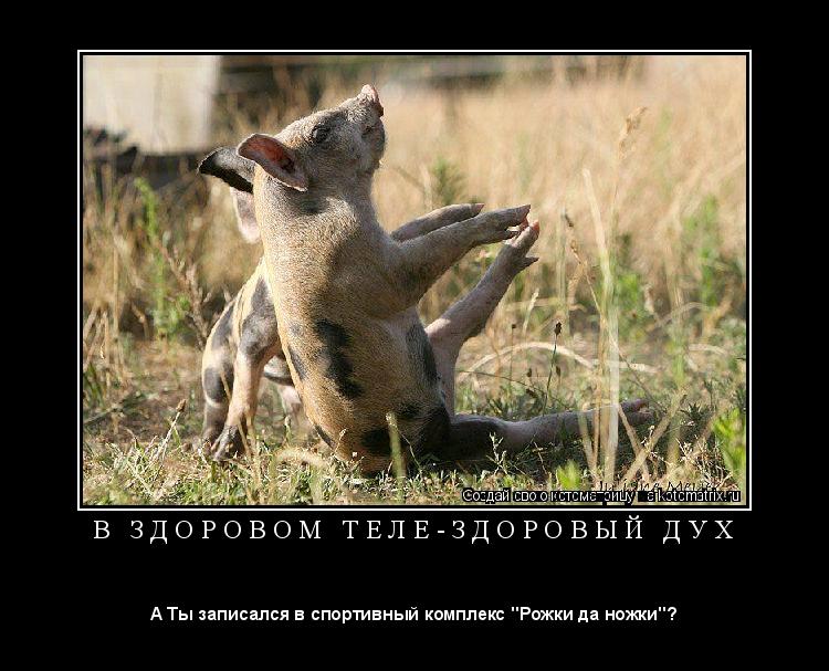 Котоматрица: В   З Д О Р О В О М   Т Е Л Е - З Д О Р О В Ы Й   Д У Х 