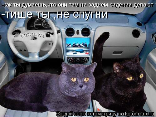 Котоматрица: -как ты думаешь,что они там на заднем сидении делают ? -тише ты ,не спугни