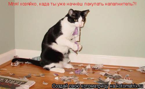 Котоматрица: Мля! хозяйко, када ты уже начнёш пакупать напалнитель?!