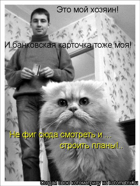 Котоматрица: Это мой хозяин!  И банковская карточка тоже моя! Не фиг сюда смотреть и ... строить планы!..