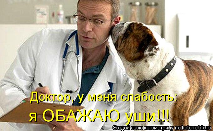 Котоматрица: Доктор, у меня слабость: я ОБАЖАЮ уши!!!