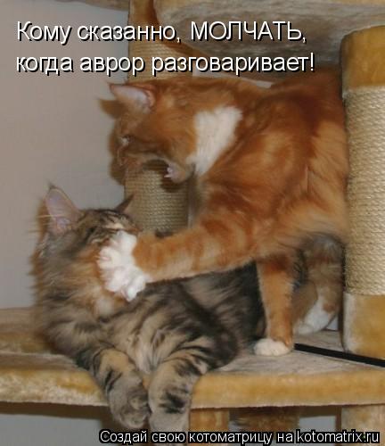 Кому сказанно, МОЛЧАТЬ, когда аврор разговаривает!... Котоматрица: Кому сказанно, МОЛЧАТЬ, когда аврор разговаривает!