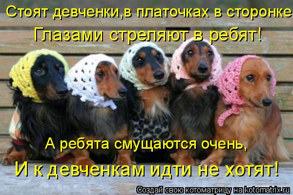 А ребята смущаются очень, И к девченкам идти не хотят! Стоят девченки,в платочках в сторонке, Глазами... Котоматрица: А ребята смущаются очень, И к девченкам идти не хотят! Стоят девченки,в платочках в сторонке, Глазами стреляют в ребят!