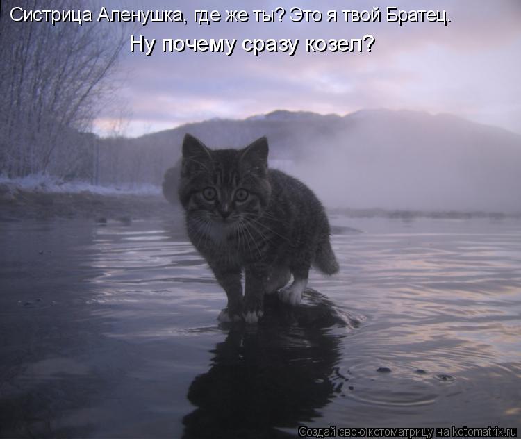 Котоматрица: Систрица Аленушка, где же ты? Это я твой Братец. Ну почему сразу козел?
