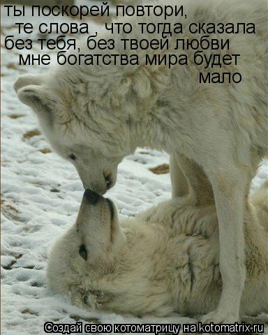 Котоматрица: ты поскорей повтори, те слова , что тогда сказала без тебя, без твоей любви мне богатства мира будет мало