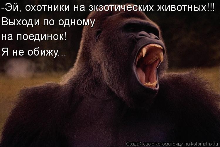 Котоматрица: -Эй, охотники на зкзотических животных!!! Выходи по одному на поединок! Я не обижу...