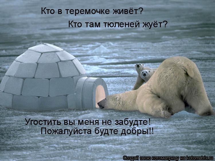 Котоматрица: Кто в теремочке живёт? Кто там тюленей жуёт? Угостить вы меня не забудте! Пожалуйста будте добры!!