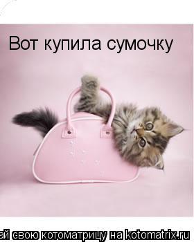 Котоматрица: Вот купила сумочку