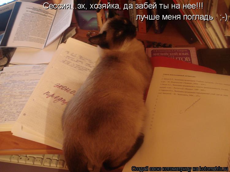 Котоматрица: Сессия...эх, хозяйка, да забей ты на нее!!! лучше меня погладь   ;-)