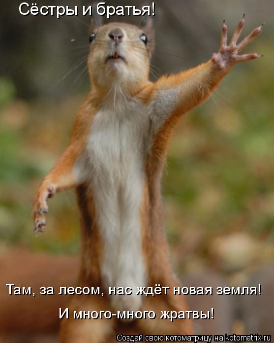 Котоматрица: Сёстры и братья! Там, за лесом, нас ждёт новая земля! И много-много жратвы!