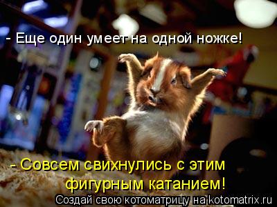 Котоматрица: - Еще один умеет на одной ножке! - Совсем свихнулись с этим  фигурным катанием!