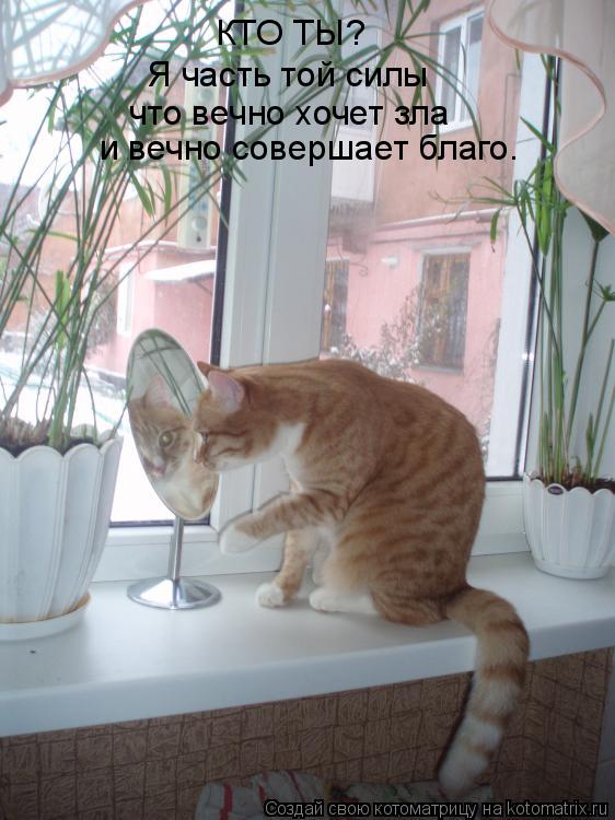 Котоматрица: КТО ТЫ? Я часть той силы что вечно хочет зла  и вечно совершает благо.
